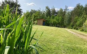 Lesne Zacisze-Pole Namiotowe